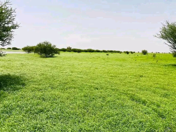 الصوره من خريف 2023