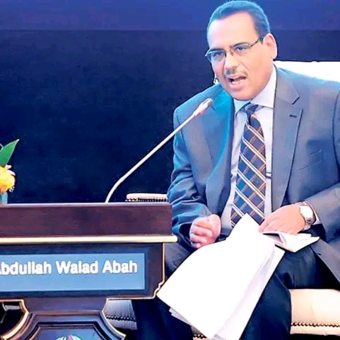 السيد ولد الباه أكاديمي موريتانى 