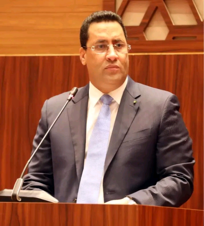 الوزير الأول يعلن قرب جاهزية مشروعين استراتيجيين