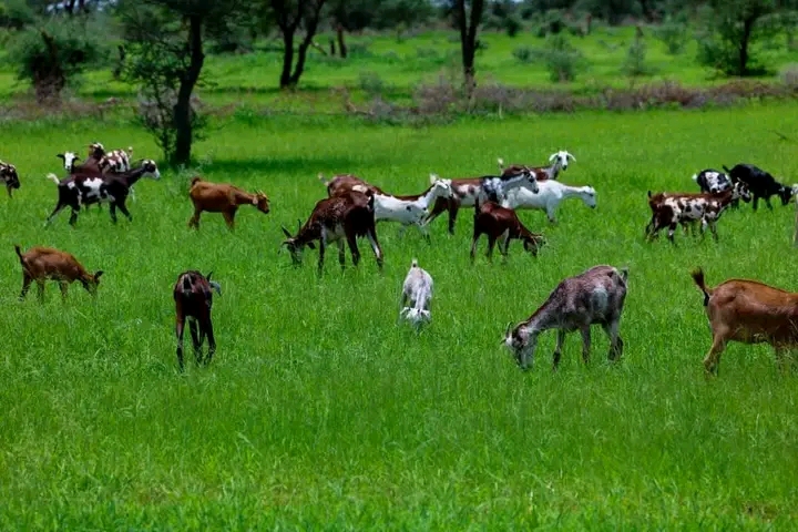 تساقطات مطرية علي الحوضين