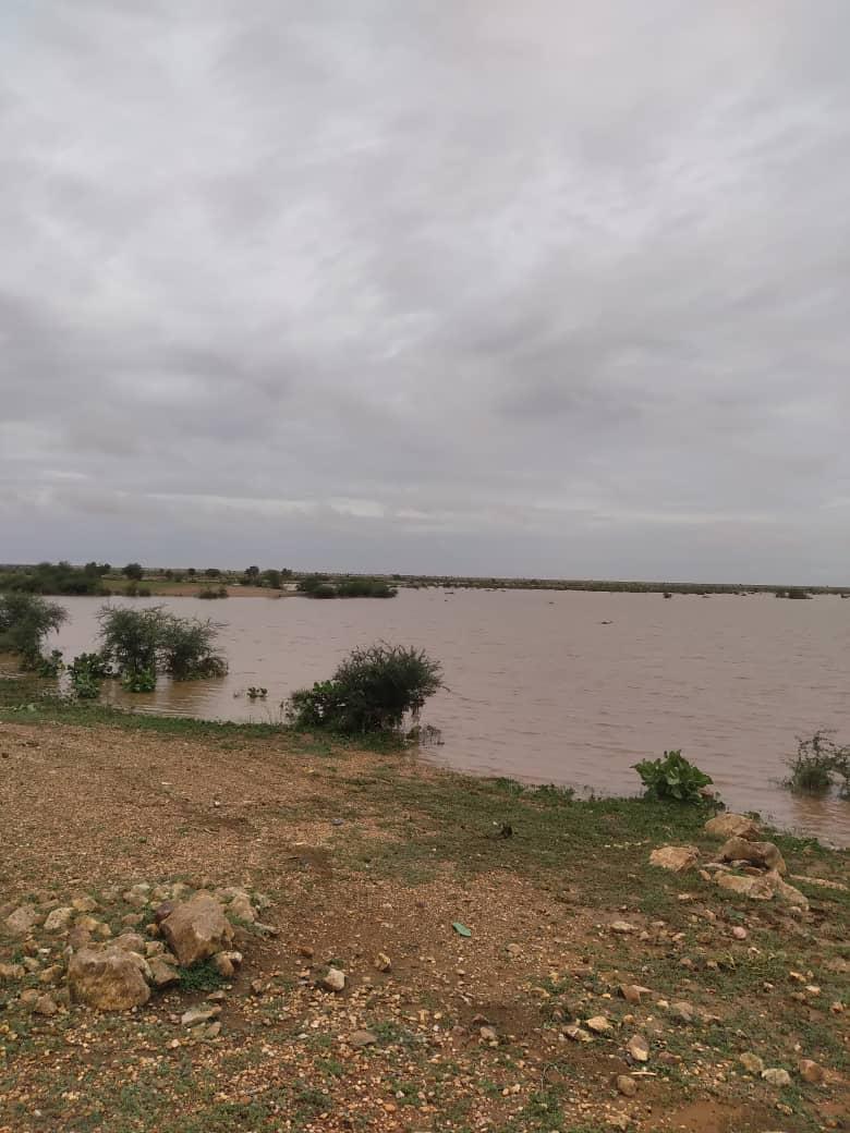 صورة من سد بطحت ميت الذي تأسس 1993