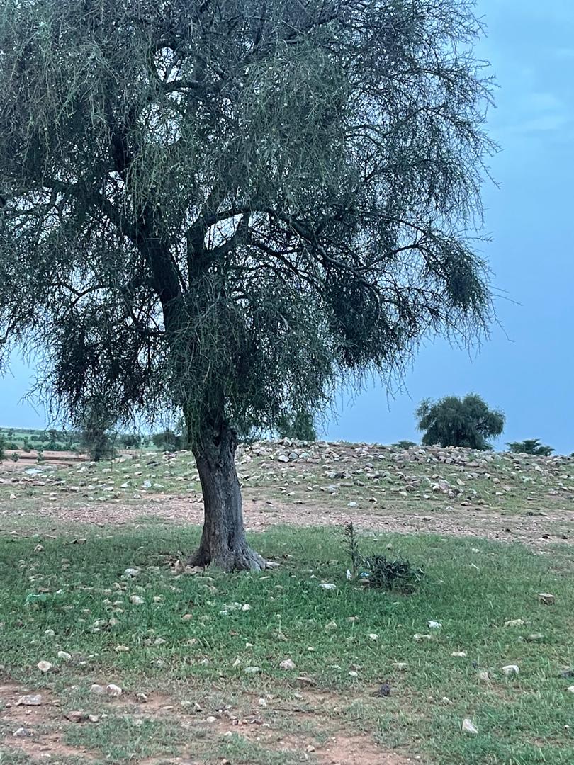 صور من المنطقة التي وقعت فيھا معركة ميت 1904 و تعرف محليا ب"دار انصارھ