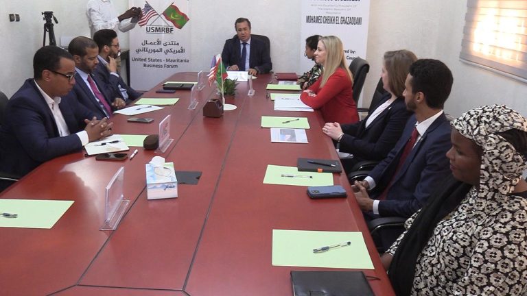 الطاقة والمعادن تتصدر أجندة بعثة اقتصادية أمريكية بنواكشوط